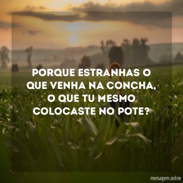 Porque estranhas o que venha na concha