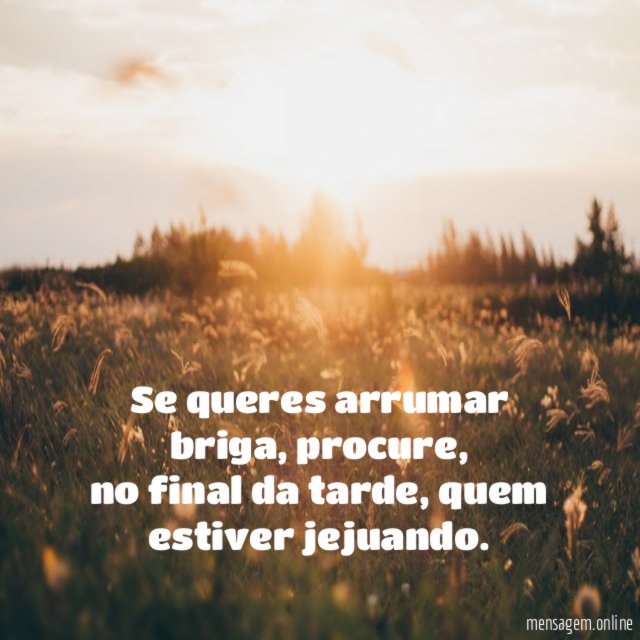 Se queres arrumar briga