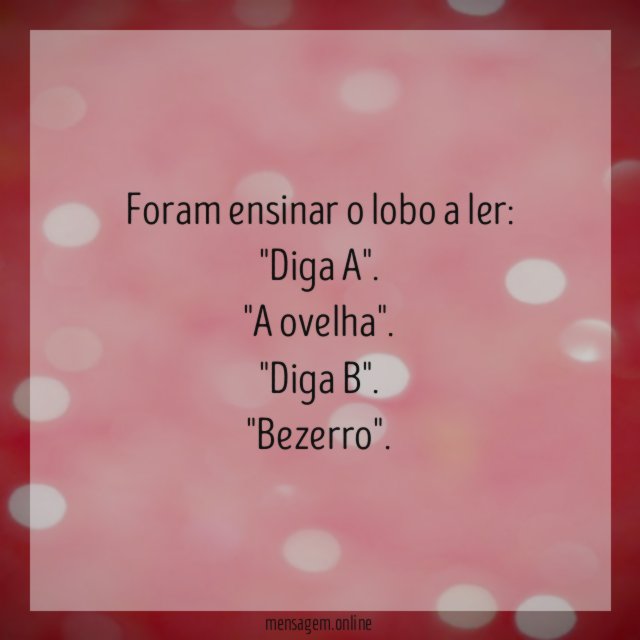 Foram ensinar o lobo a ler