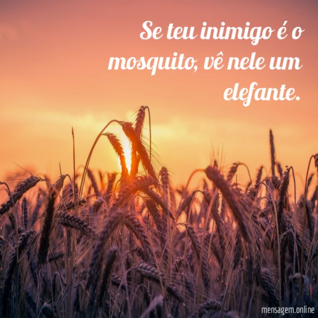 Se teu inimigo é o mosquito