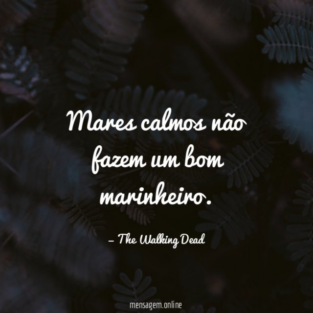 Mares calmos não fazem um bom marinheiro
