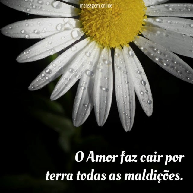 O Amor faz cair por terra todas as maldições