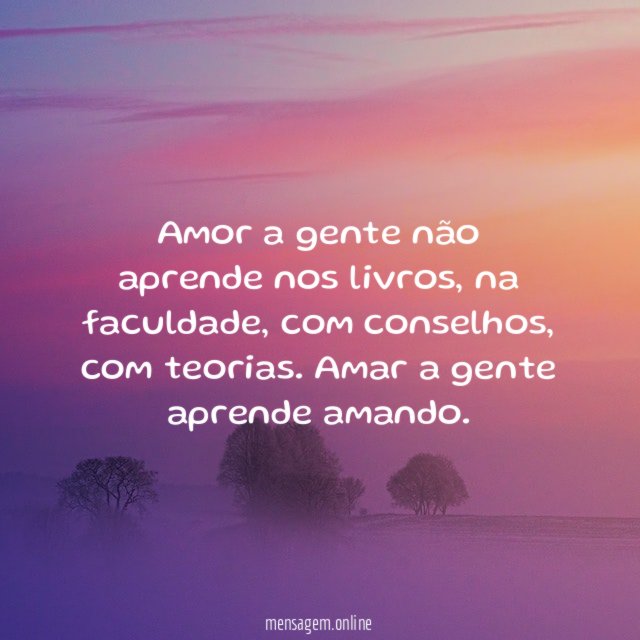 Amor a gente não aprende nos livros