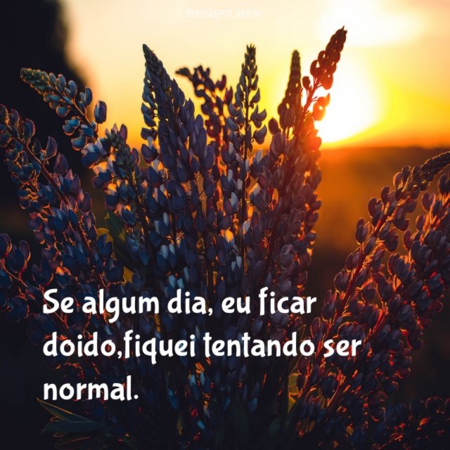 Se algum dia