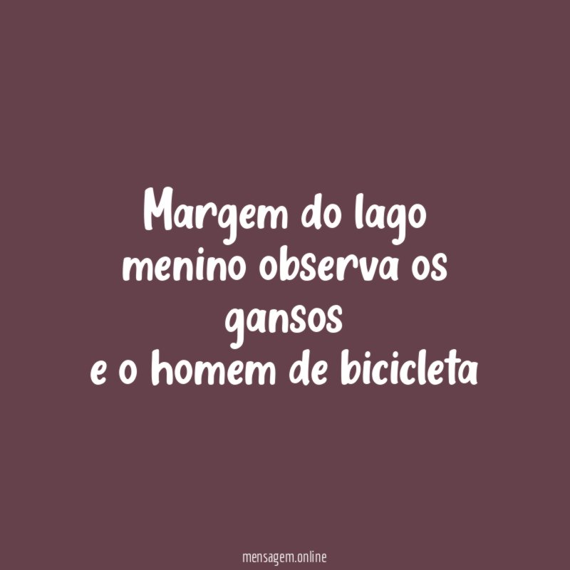 margem do lago menino observa os gansos e o homem de bicicleta