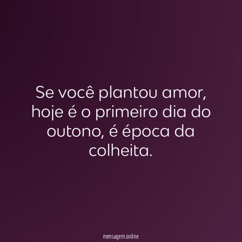 Se você plantou amor