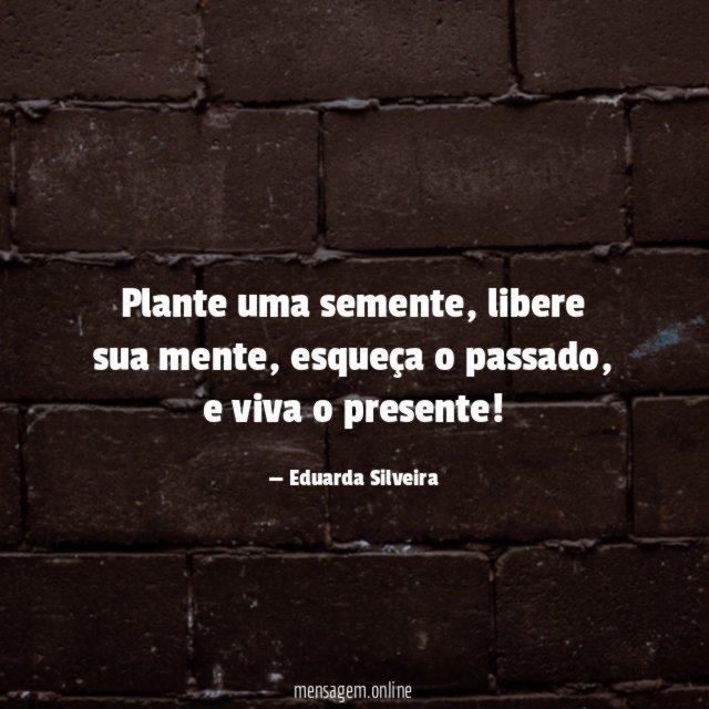 Plante uma semente