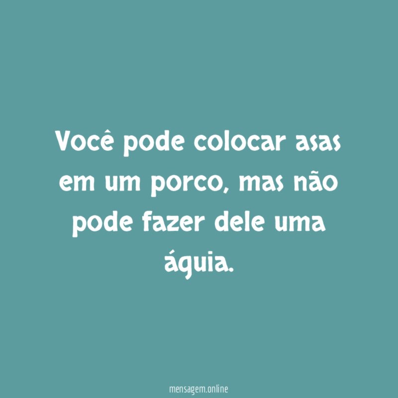 Você pode colocar asas em um porco