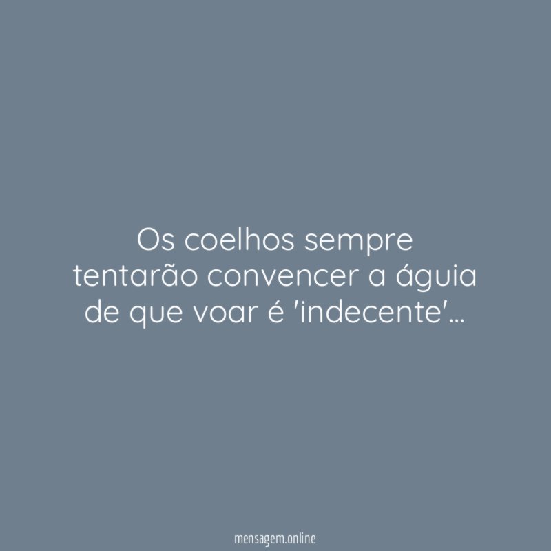 Os coelhos sempre tentarão convencer a águia de que voar é 'indecente'