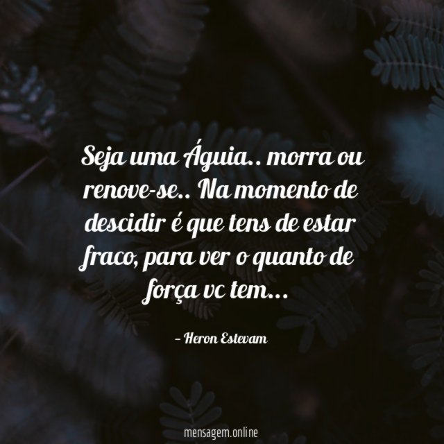 Seja uma Águia