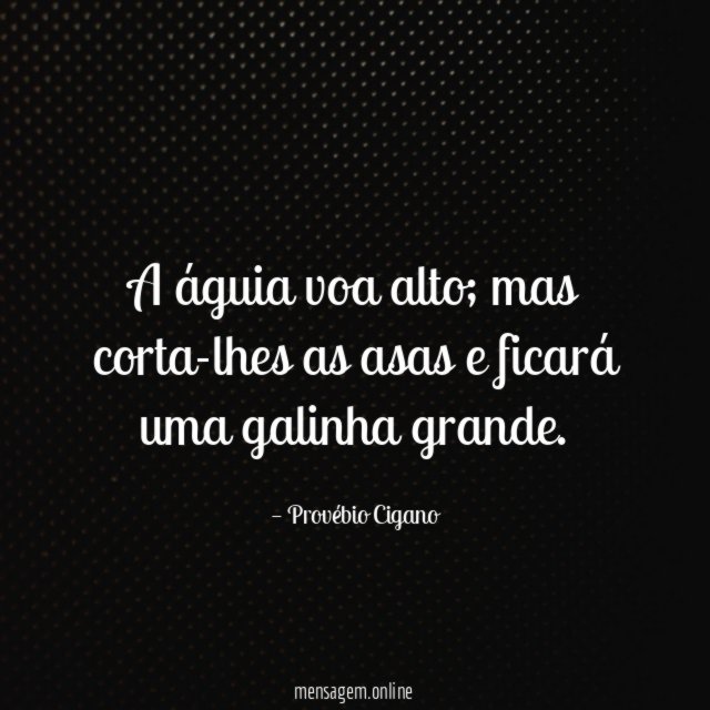 A águia voa alto