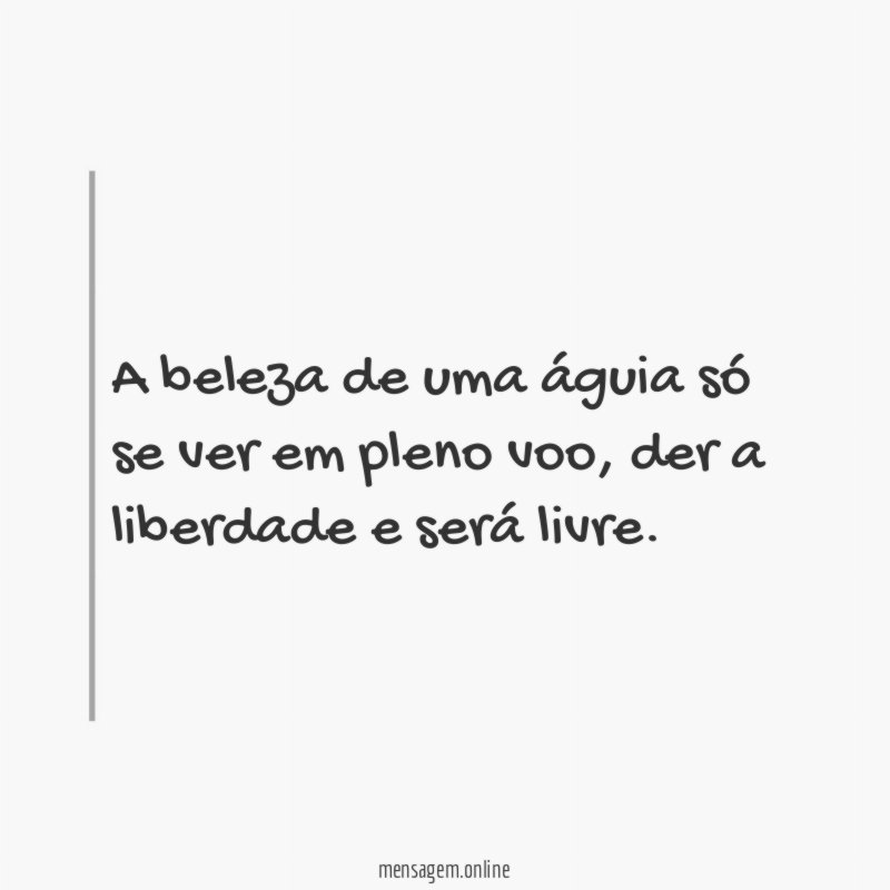 A beleza de uma águia só se ver em pleno voo