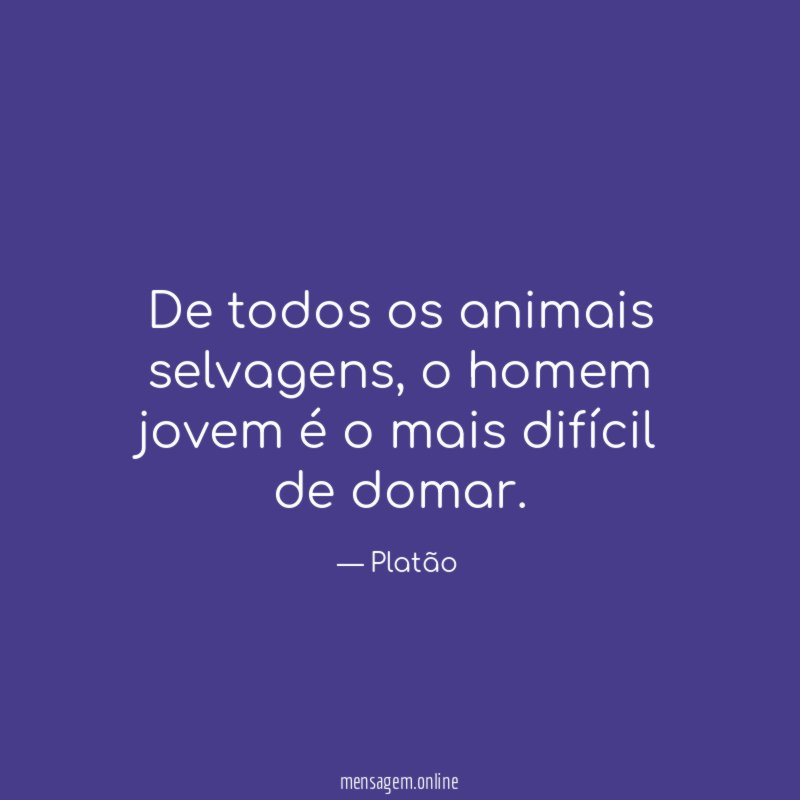 De todos os animais selvagens