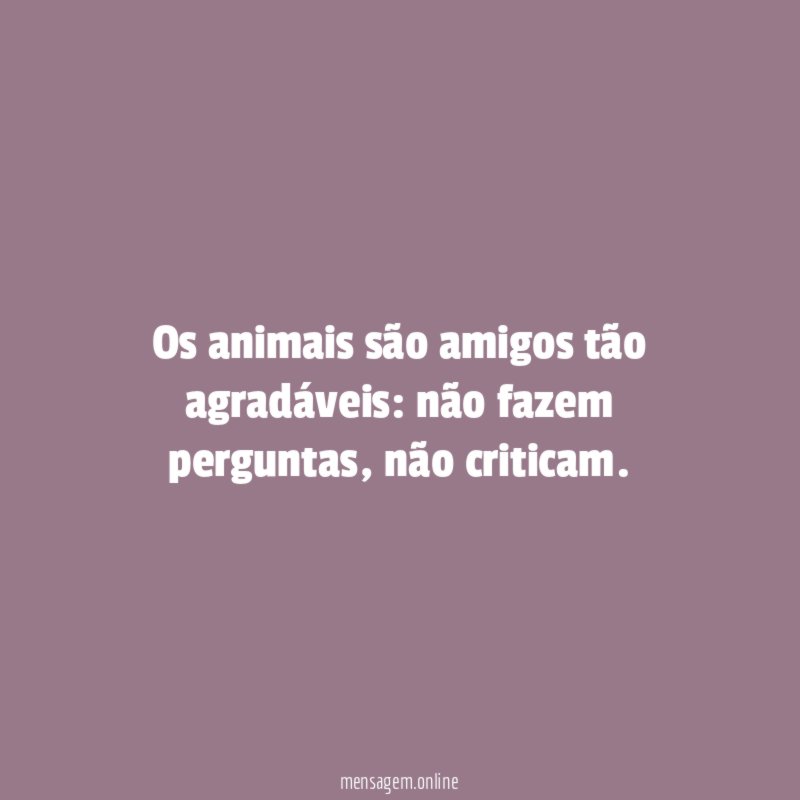 Os animais são amigos tão agradáveis