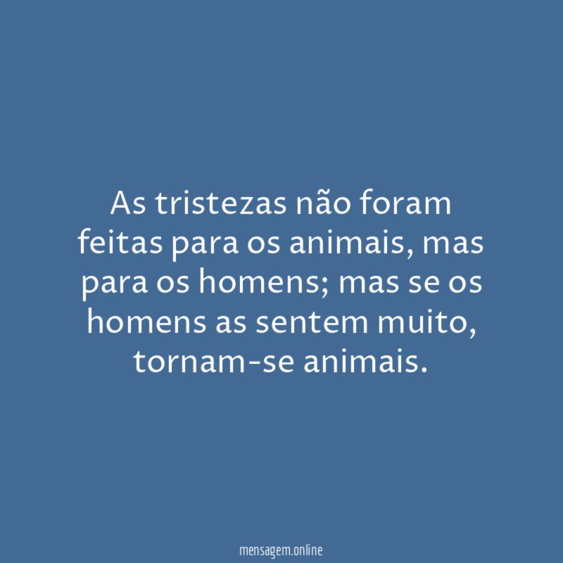 As tristezas não foram feitas para os animais