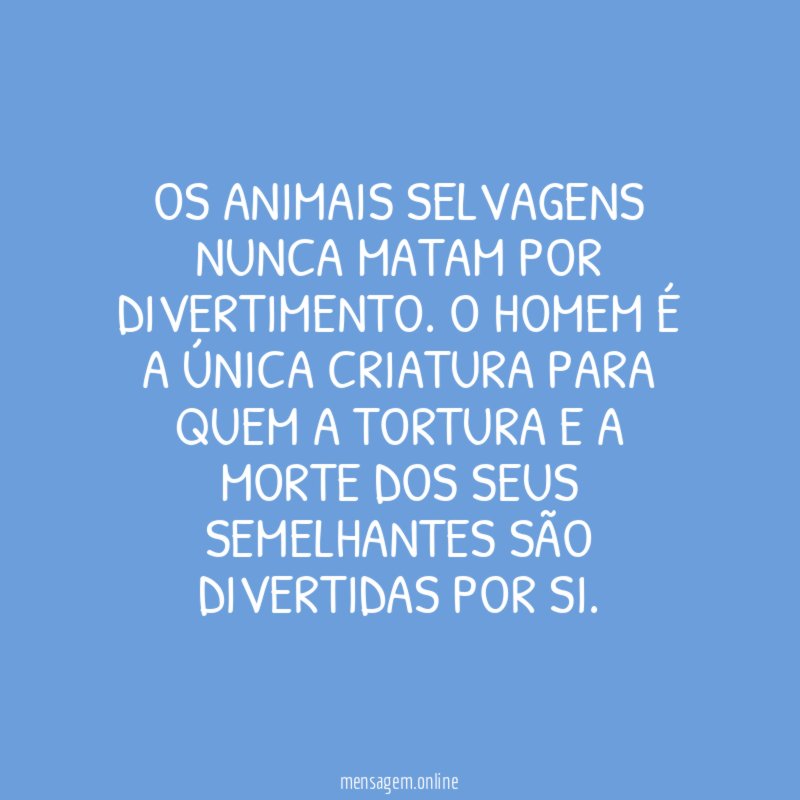 Os animais selvagens nunca matam por divertimento
