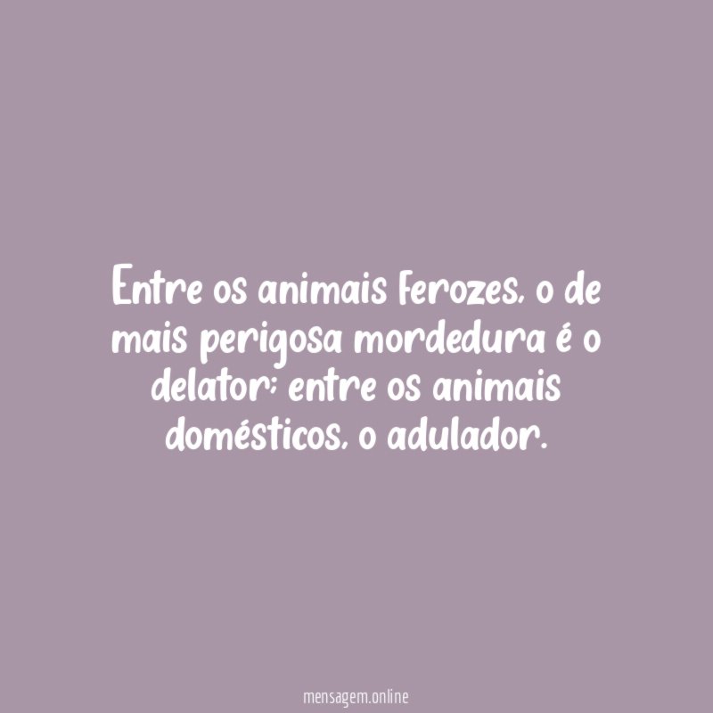 Entre os animais ferozes