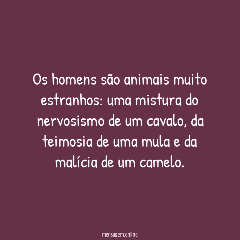 Os homens são animais muito estranhos