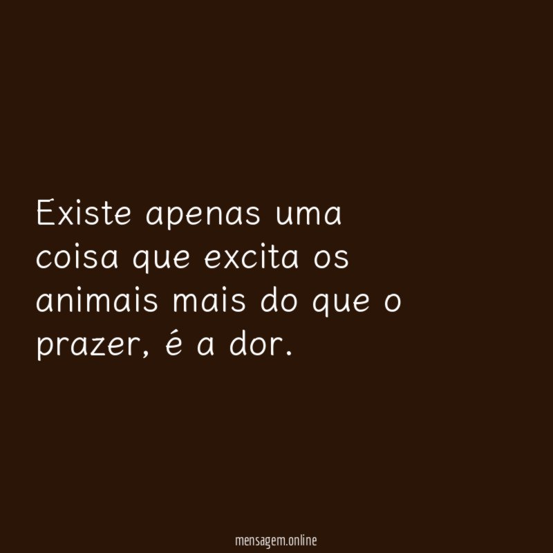 Existe apenas uma coisa que excita os animais