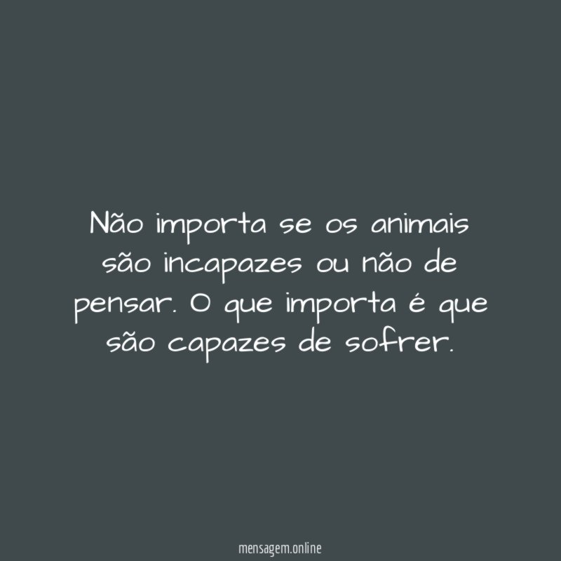Não importa se os animais são incapazes ou