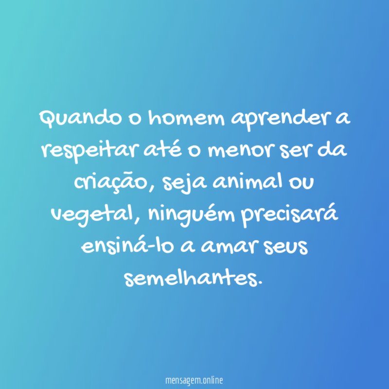 Quando o homem aprender a respeitar até o