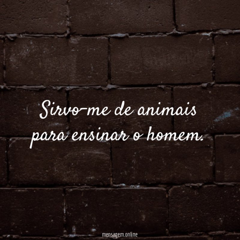 Sirvo-me de animais para ensinar o homem