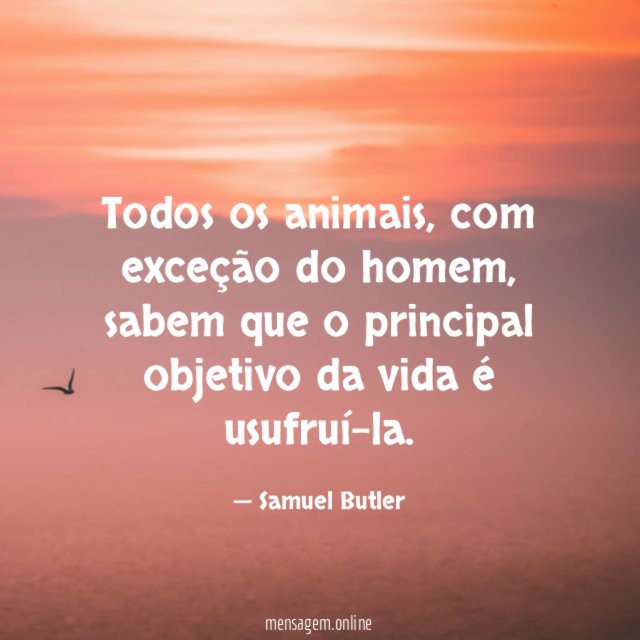 Todos os animais