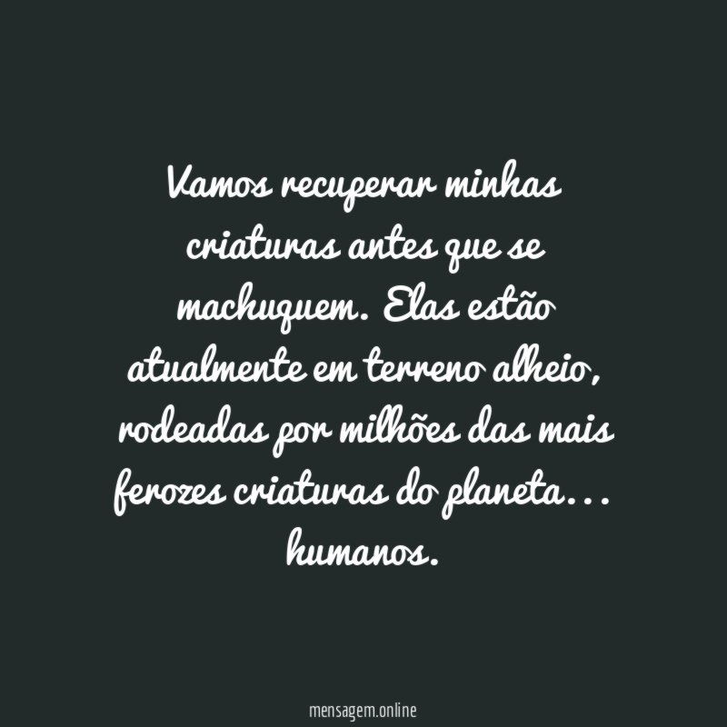 Vamos recuperar minhas criaturas antes que se machuquem