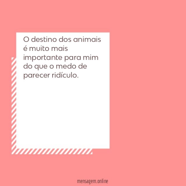 O destino dos animais é muito mais importante