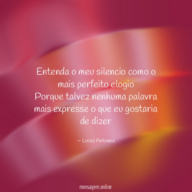 Entenda o meu silencio como o mais perfeito