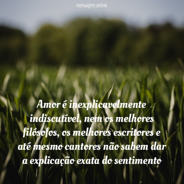Amor é inexplicavelmente indiscutível