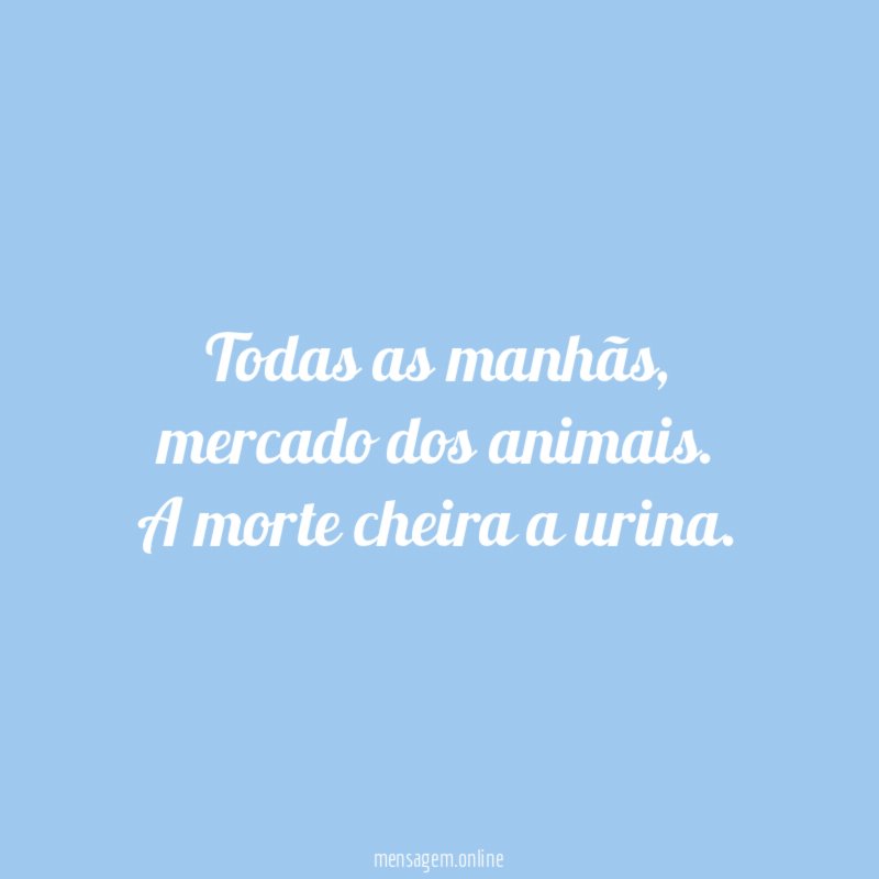 Todas as manhãs