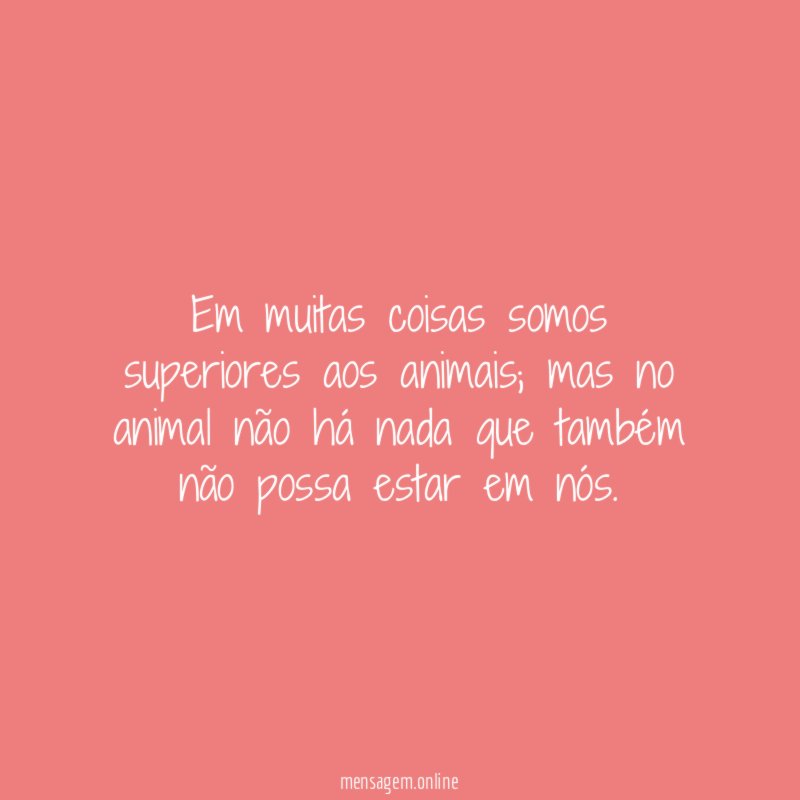 Em muitas coisas somos superiores aos animais