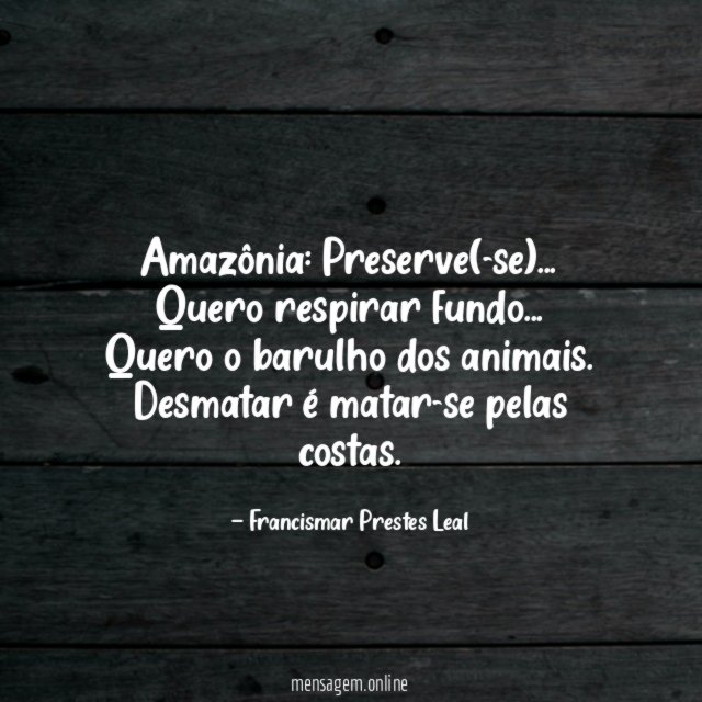 Amazônia: Preserve(-se)…