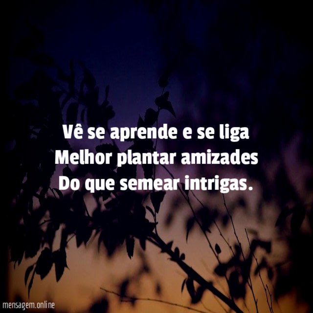 Vê se aprende e se liga Melhor plantar amizades Do