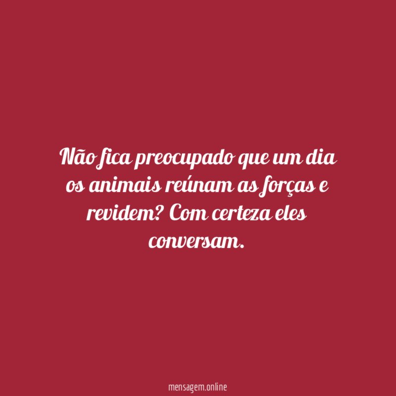 Não fica preocupado que um dia os animais