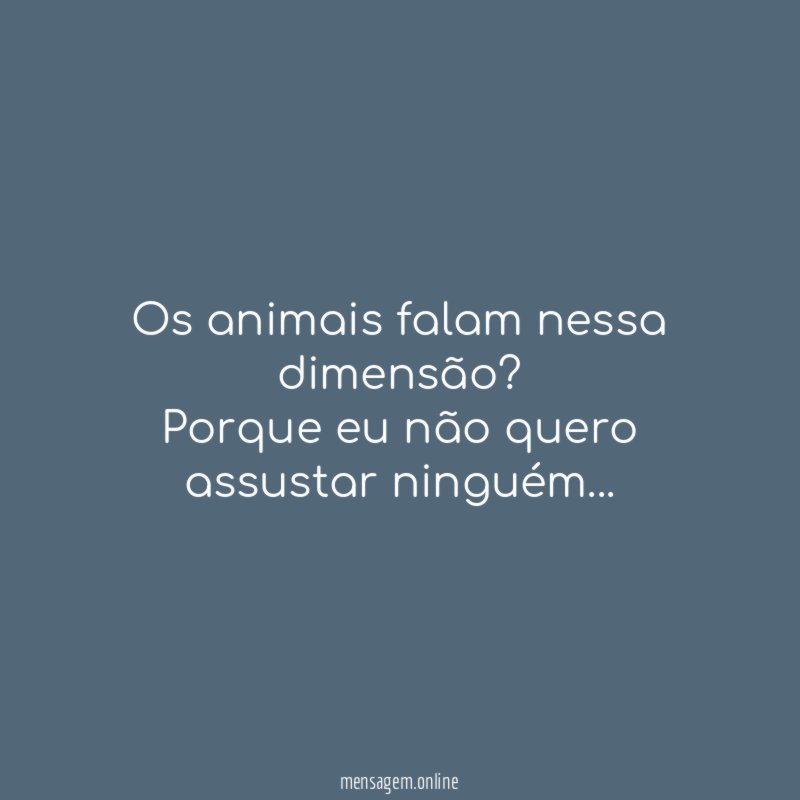Os animais falam nessa dimensão