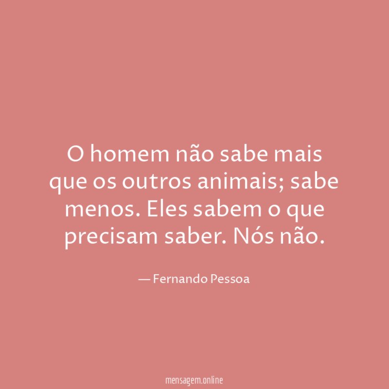 O homem não sabe mais que os outros animais