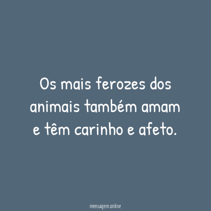 Os mais ferozes dos animais também amam