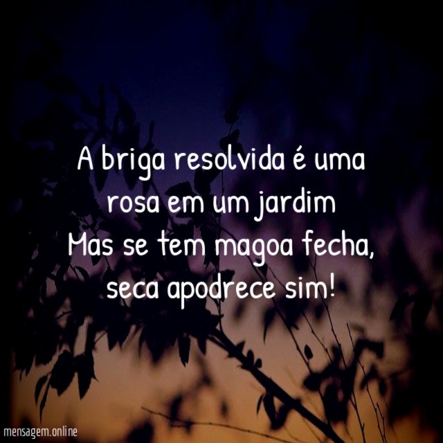 A briga resolvida é uma rosa em um