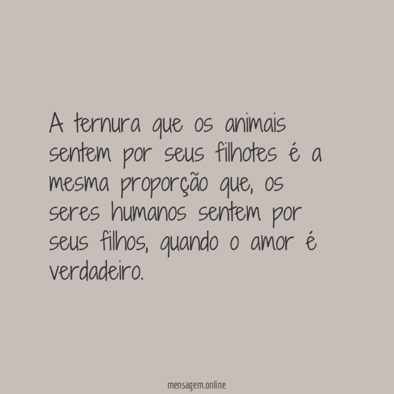 A ternura que os animais sentem por seus