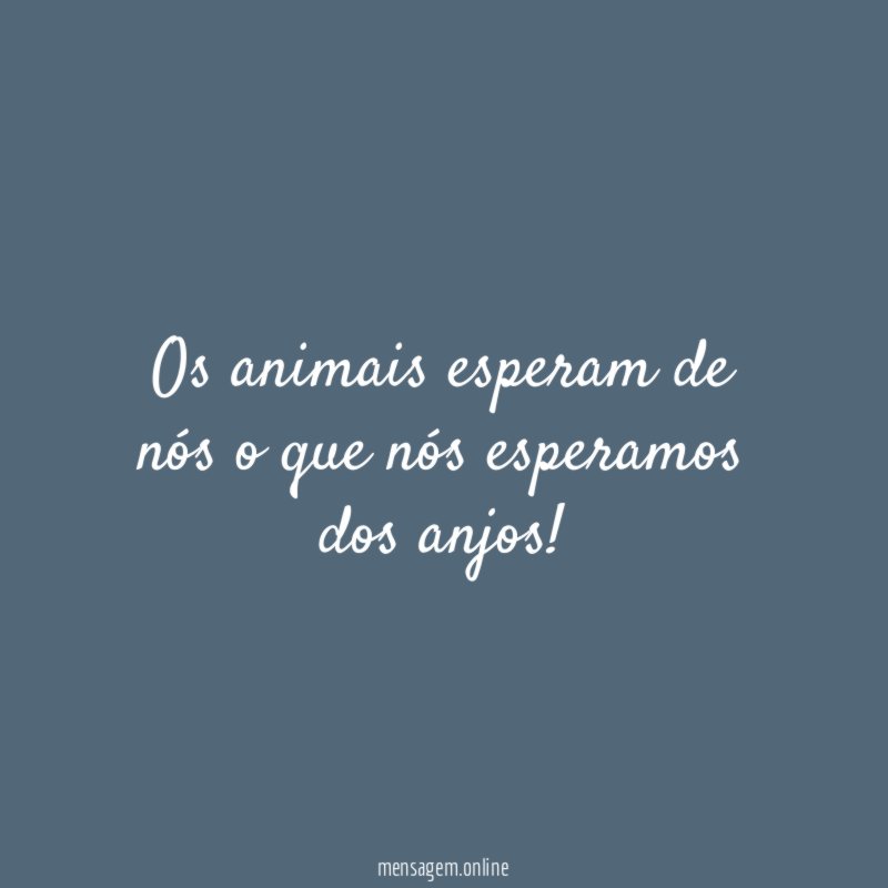 Os animais esperam de nós o que nós