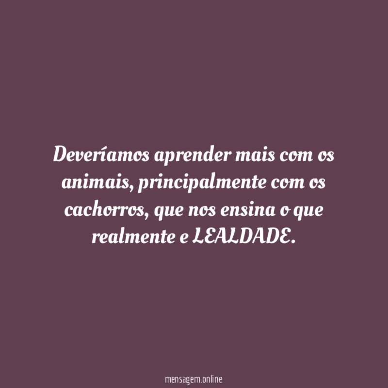 Deveríamos aprender mais com os animais