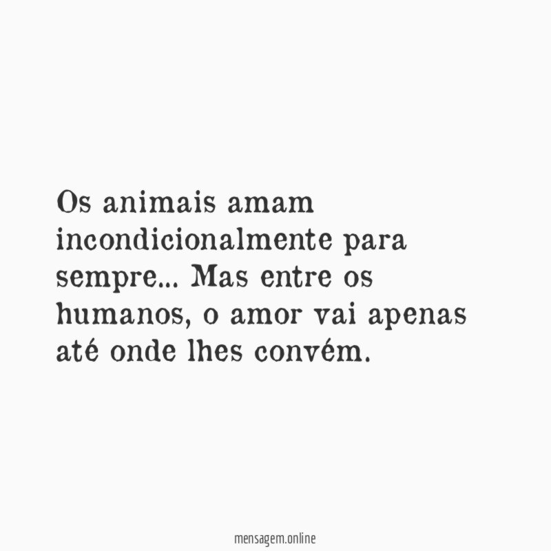 Os animais amam incondicionalmente para sempre