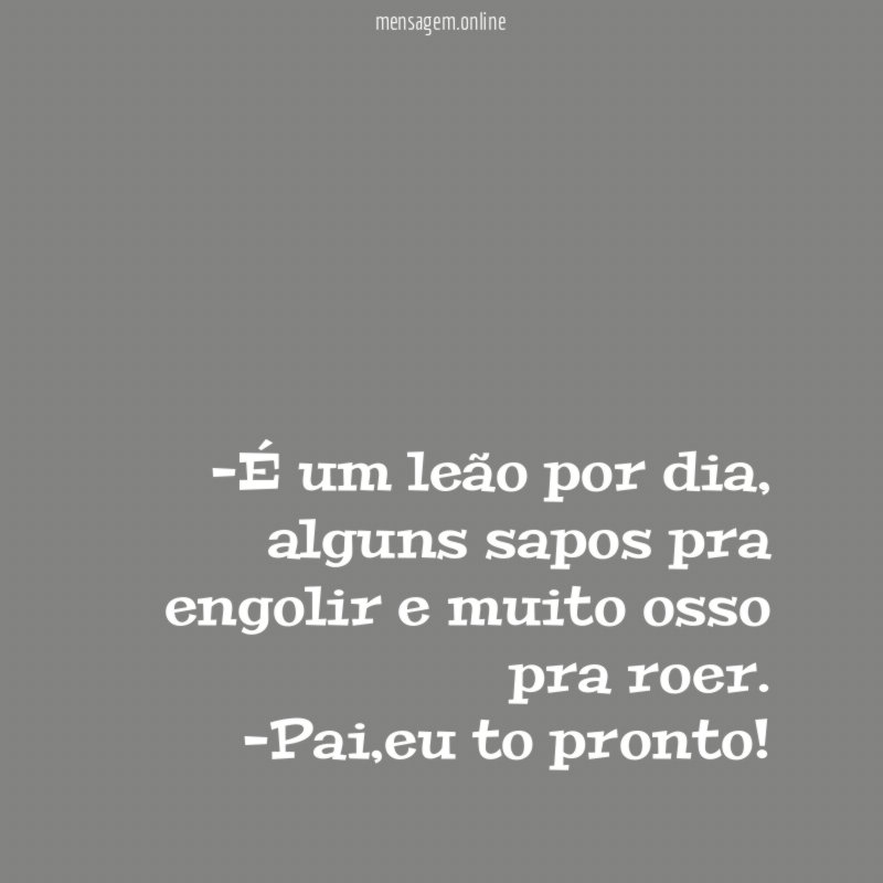 É um leão por dia