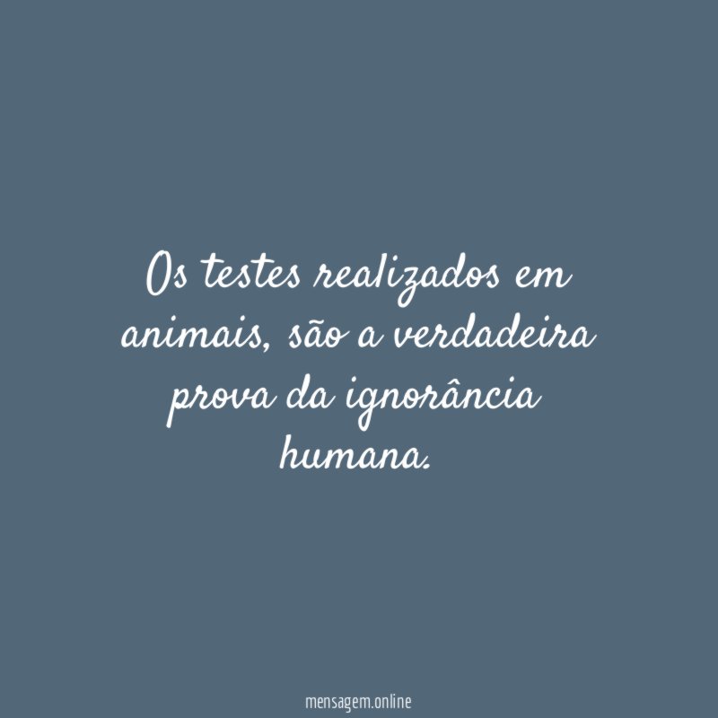 Os testes realizados em animais
