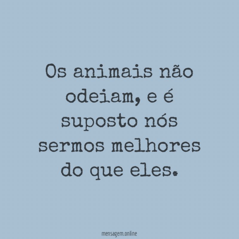 Os animais não odeiam