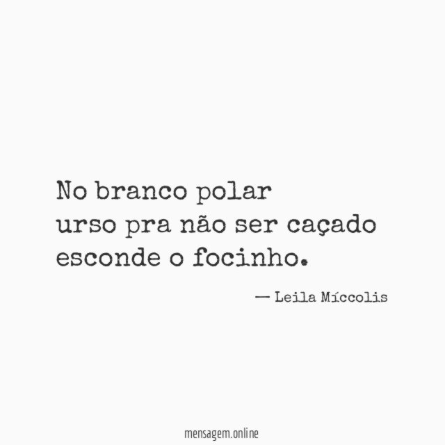 No branco polar urso pra não ser caçado esconde