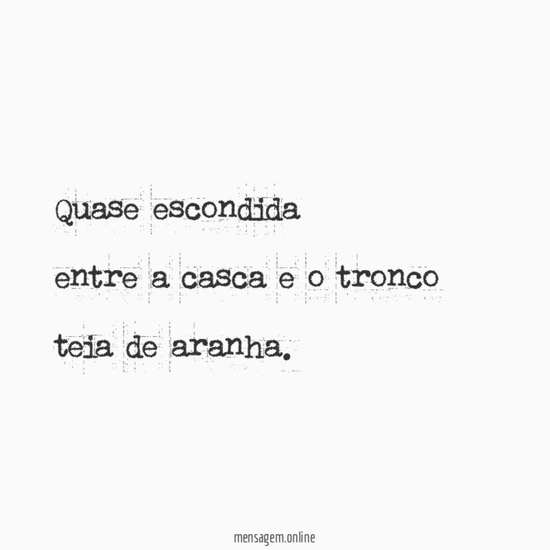 Quase escondida entre a casca e o tronco teia de aranha