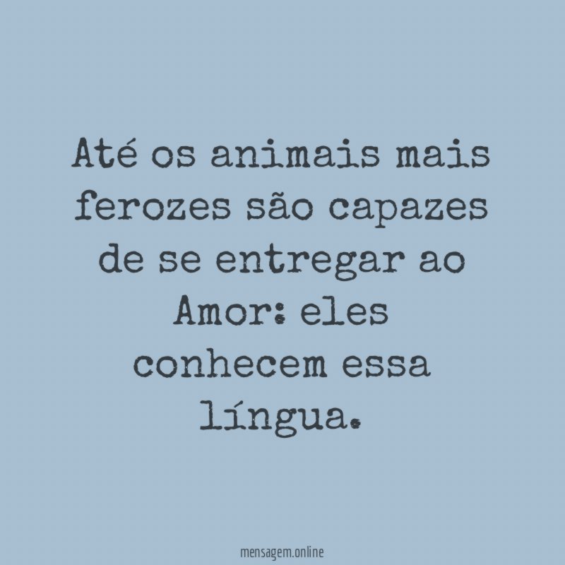 Até os animais mais ferozes são capazes de